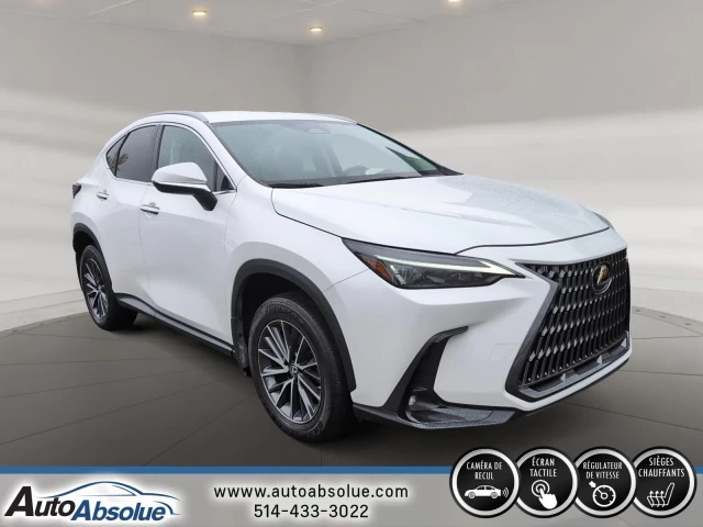 Lexus NX250 NX 250 2022