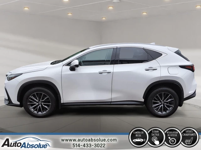 Lexus NX250 NX 250 2022