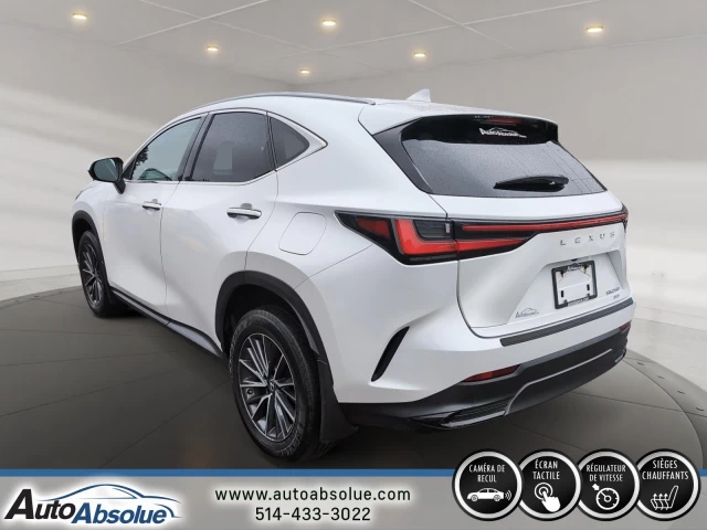 Lexus NX250 NX 250 2022