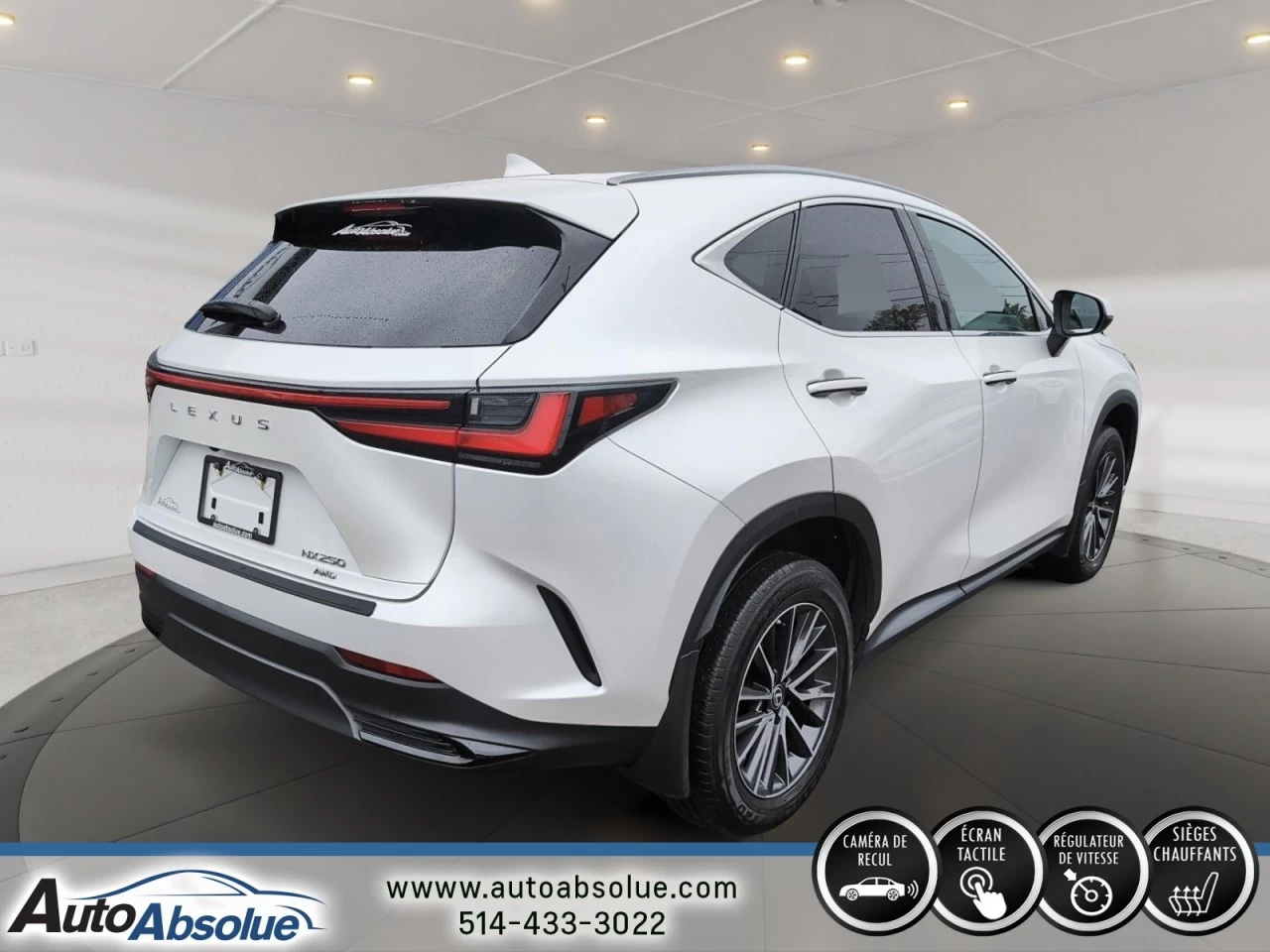 2022 Lexus NX250 NX 250 Main Image