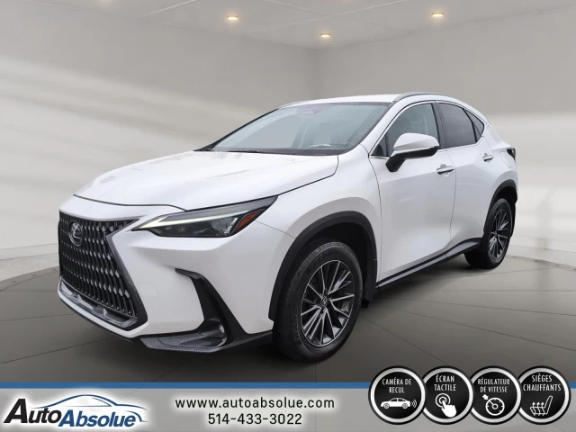 Lexus NX250 NX 250 2022