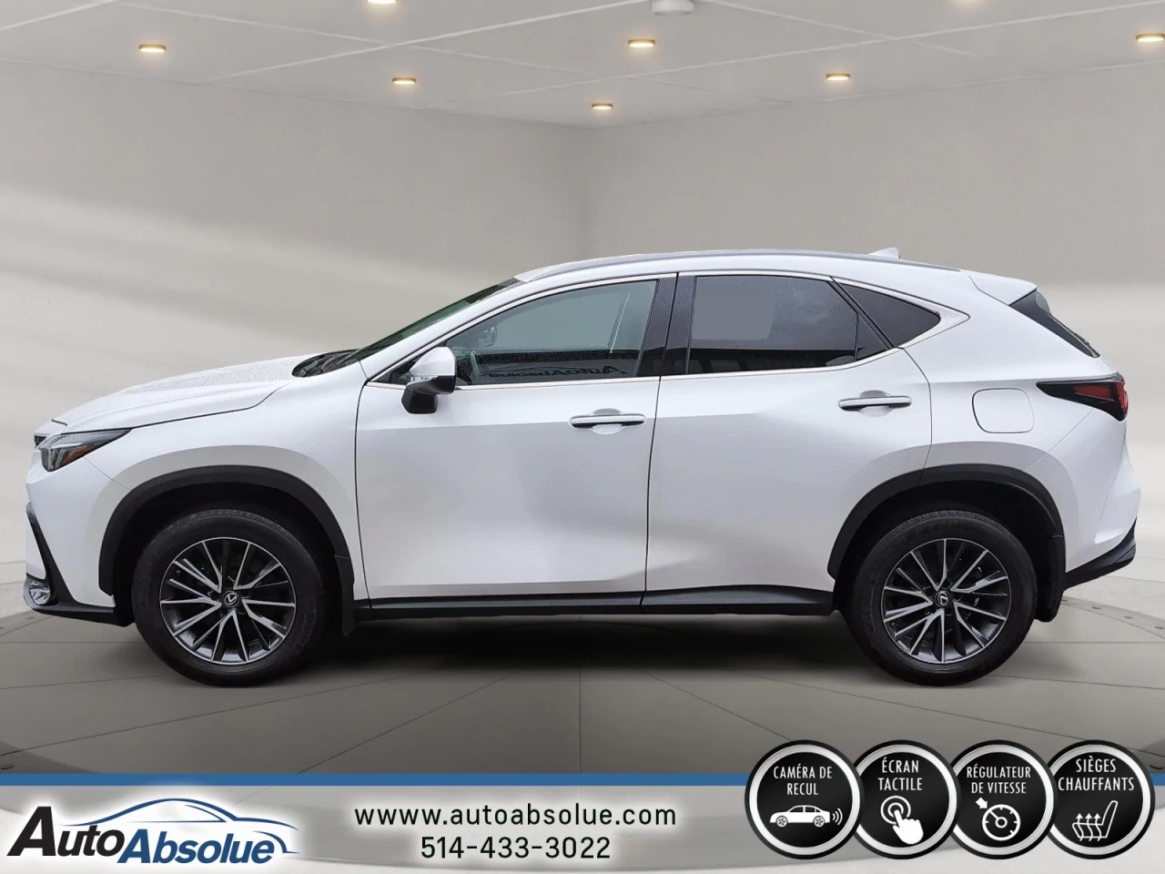 2022 Lexus NX250 NX 250 Main Image
