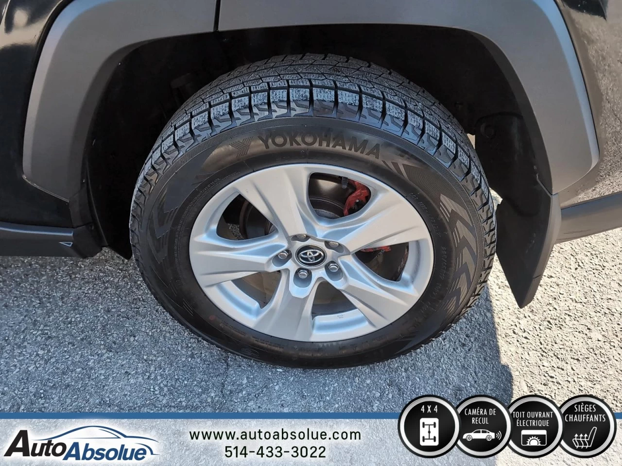 2019 Toyota RAV4 XLE Image principale