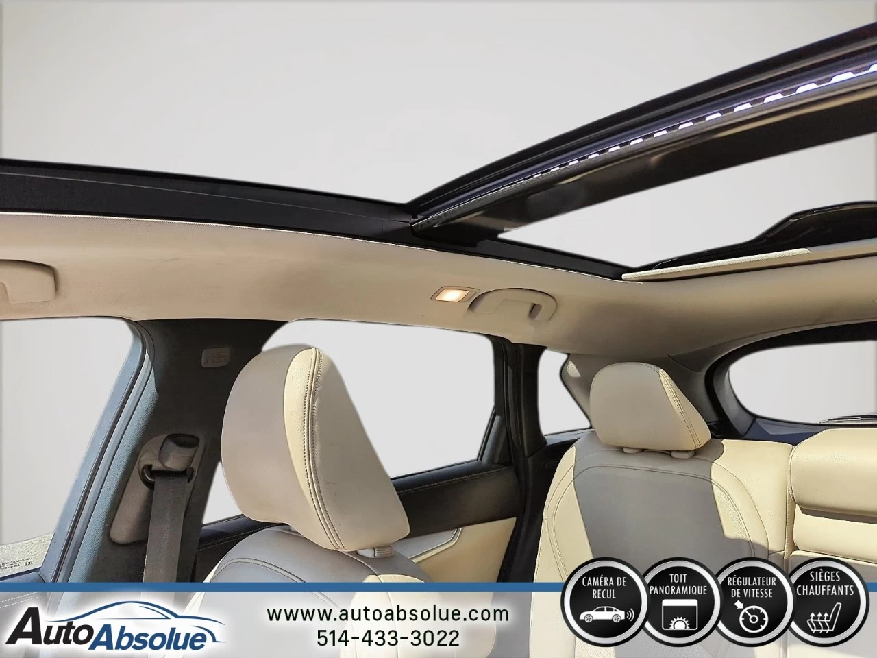 2019 INFINITI QX50 Essential Main Image