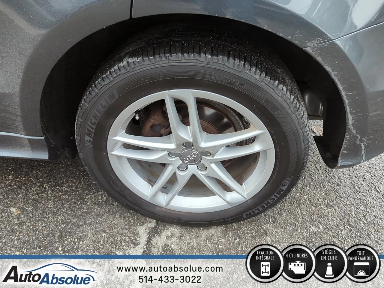 2014 Audi Q5 2.0L Progressiv Image principale