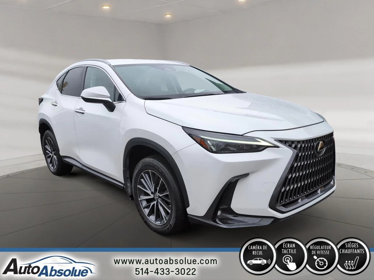 2022 Lexus NX250 NX 250 Main Image