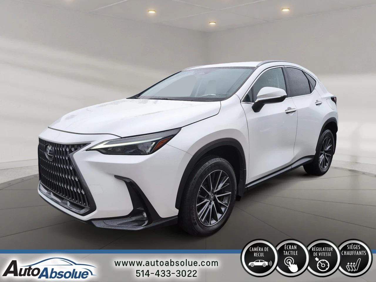 2022 Lexus NX250 NX 250 Main Image