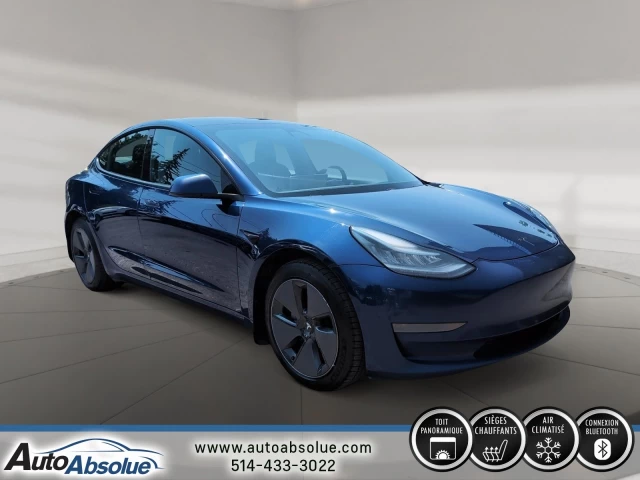 Tesla 3 Standard Range 2021
