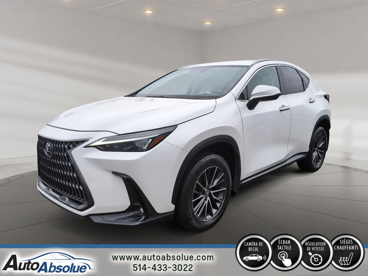 Lexus 2022 NX250 NX 250